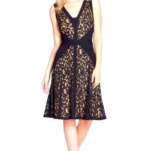 TADASHI SHOJI | Lace V-Neck Sleeveless Midi Dress